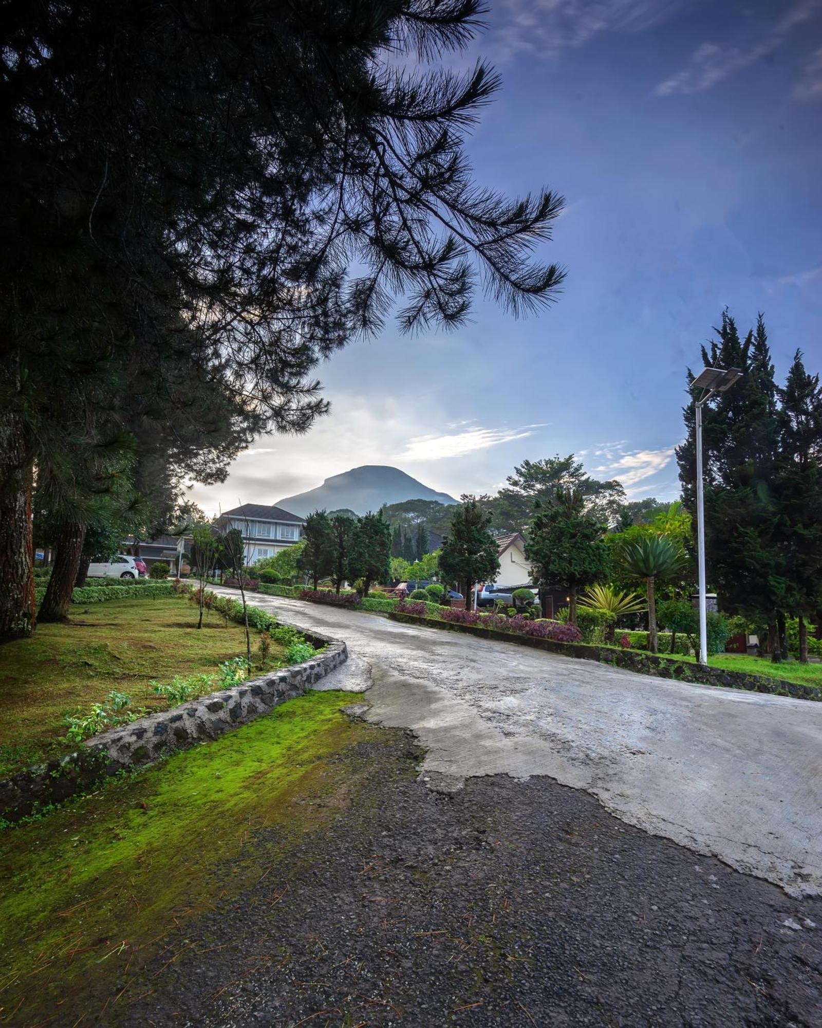 Kejajar Tambi Tea Resort מראה חיצוני תמונה